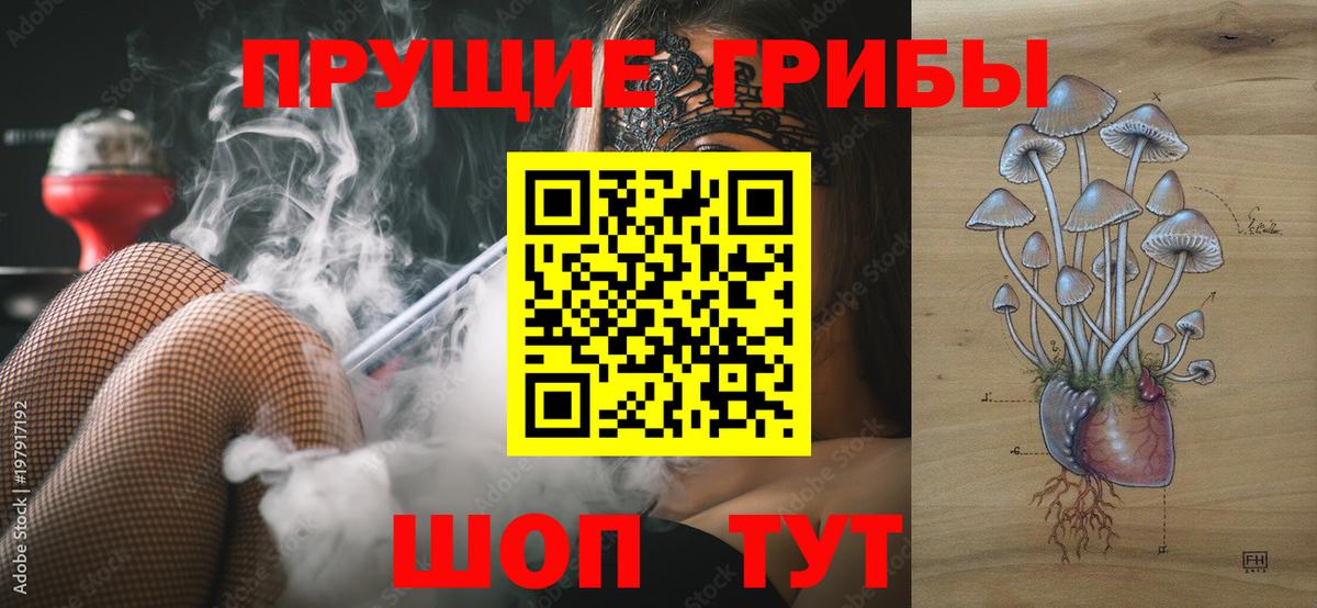 Галлюциногенные грибы MAGIC MUSHROOMS Воркута