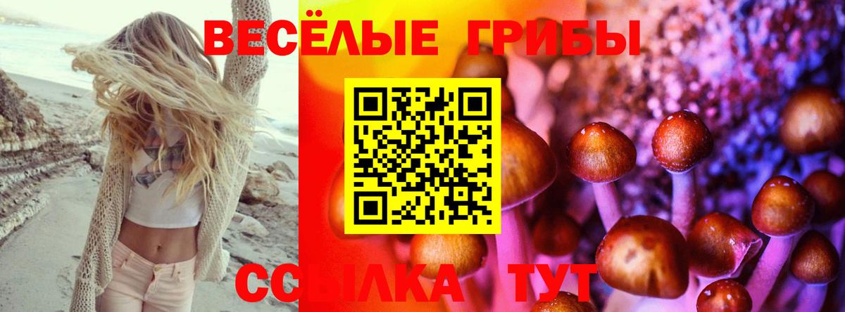 Воркута  Галлюциногенные грибы Cubensis  Вход с VPN  Псилоцибиновые грибы мухоморы 