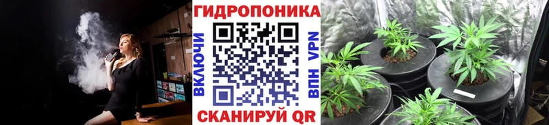hydra маркетплейс  Воркута  Марихуана семена 